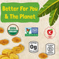 Barnana Organic Plantain Chips, Himalayan Pink Salt, 2 oz, 6-Pack, Non-GMO, Vegan, Paleo, Grain-Free, Healthy Snack