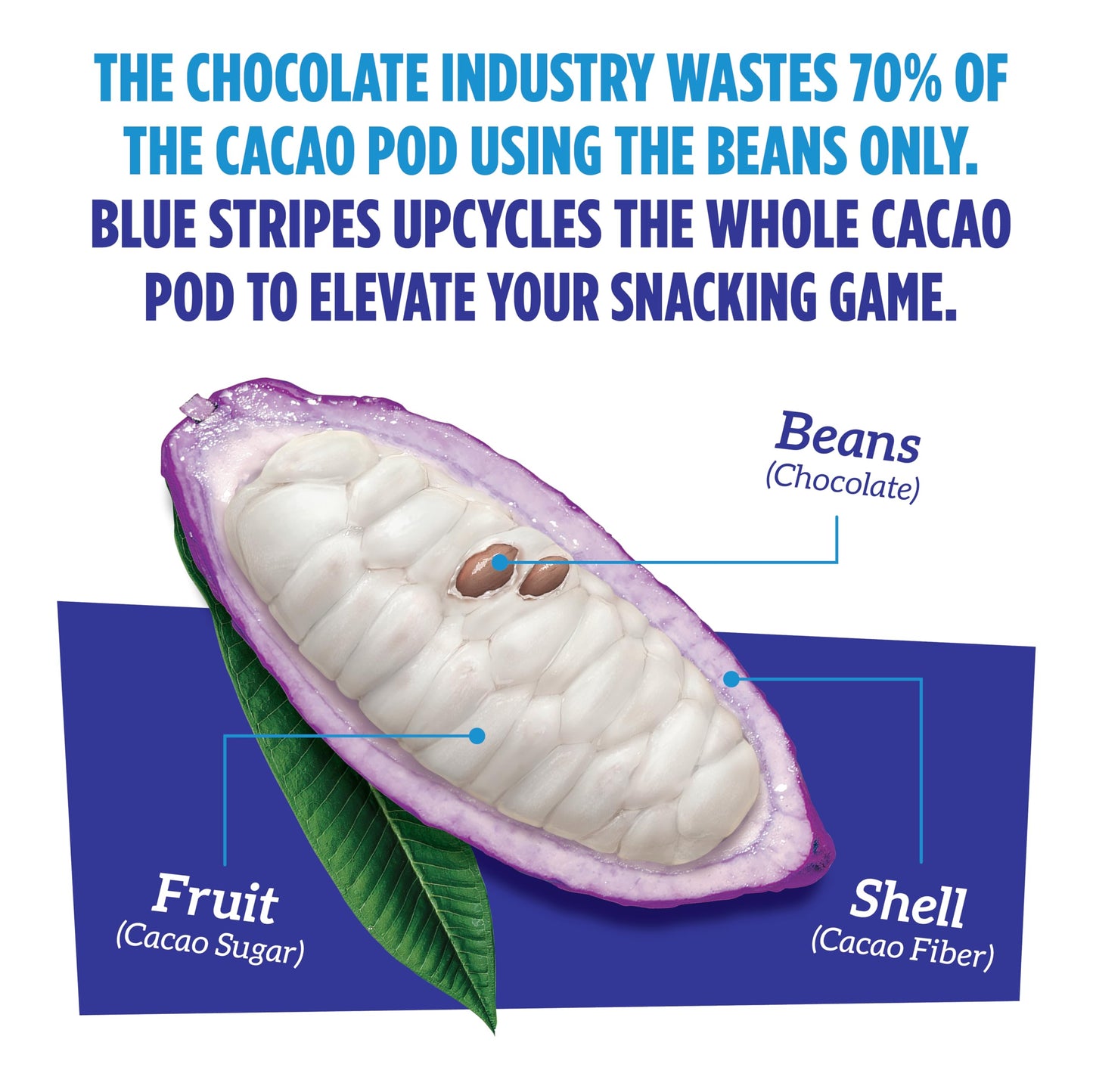 Blue Stripes - Pure Dark Whole Cacao Chocolate Bars, 70% Cacao Bar, Healthy Chocolate, Vegan, No Refined Sugar, Non GMO, Gluten