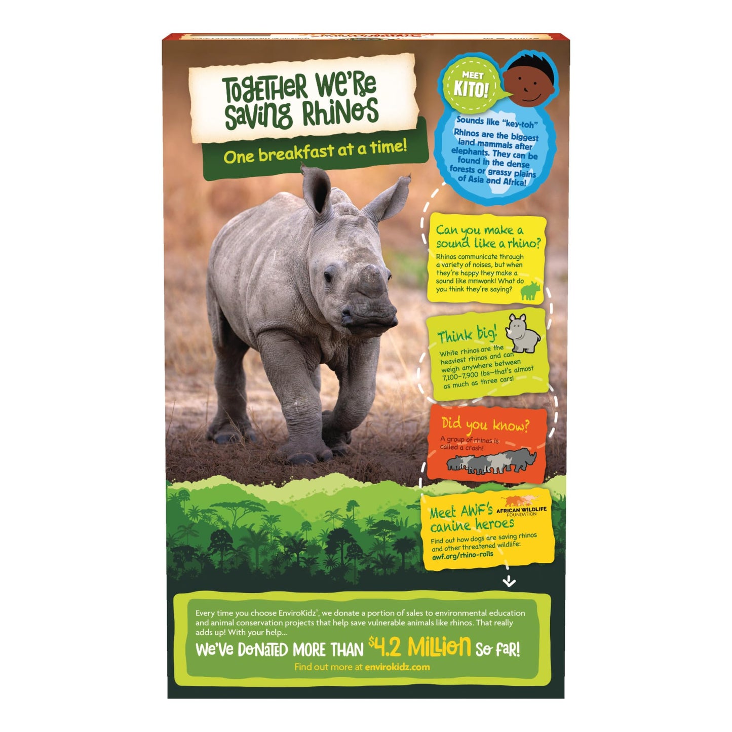 EnviroKidz Organic Rhino Rolls Cereal, 9.5 oz (Pack of 1), Cinnamon Bun, Gluten Free, Non-GMO, by Natures Path