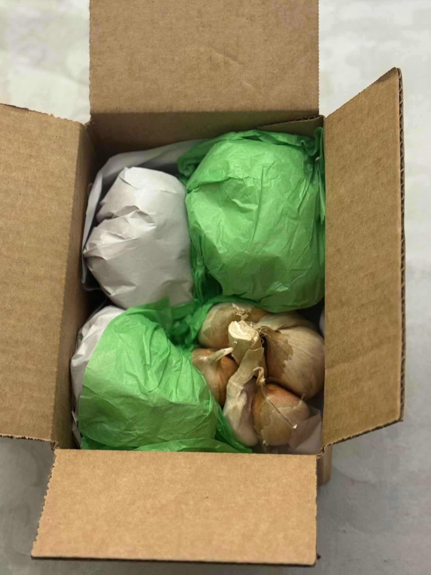 Organic Elephant Garlic Fresh Bulbs Seed. 2 pounds.. Gift Health Box with 4 Huge Units of Elephant Garlic.