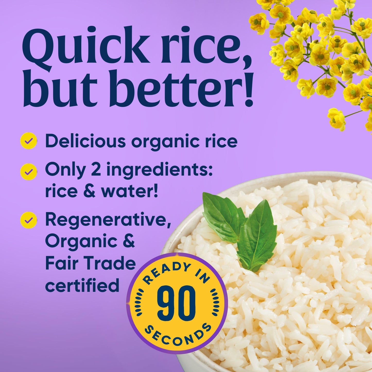 Lundberg Family Farms Organic White Jasmine Rice Thai Hom Mali 8 Oz