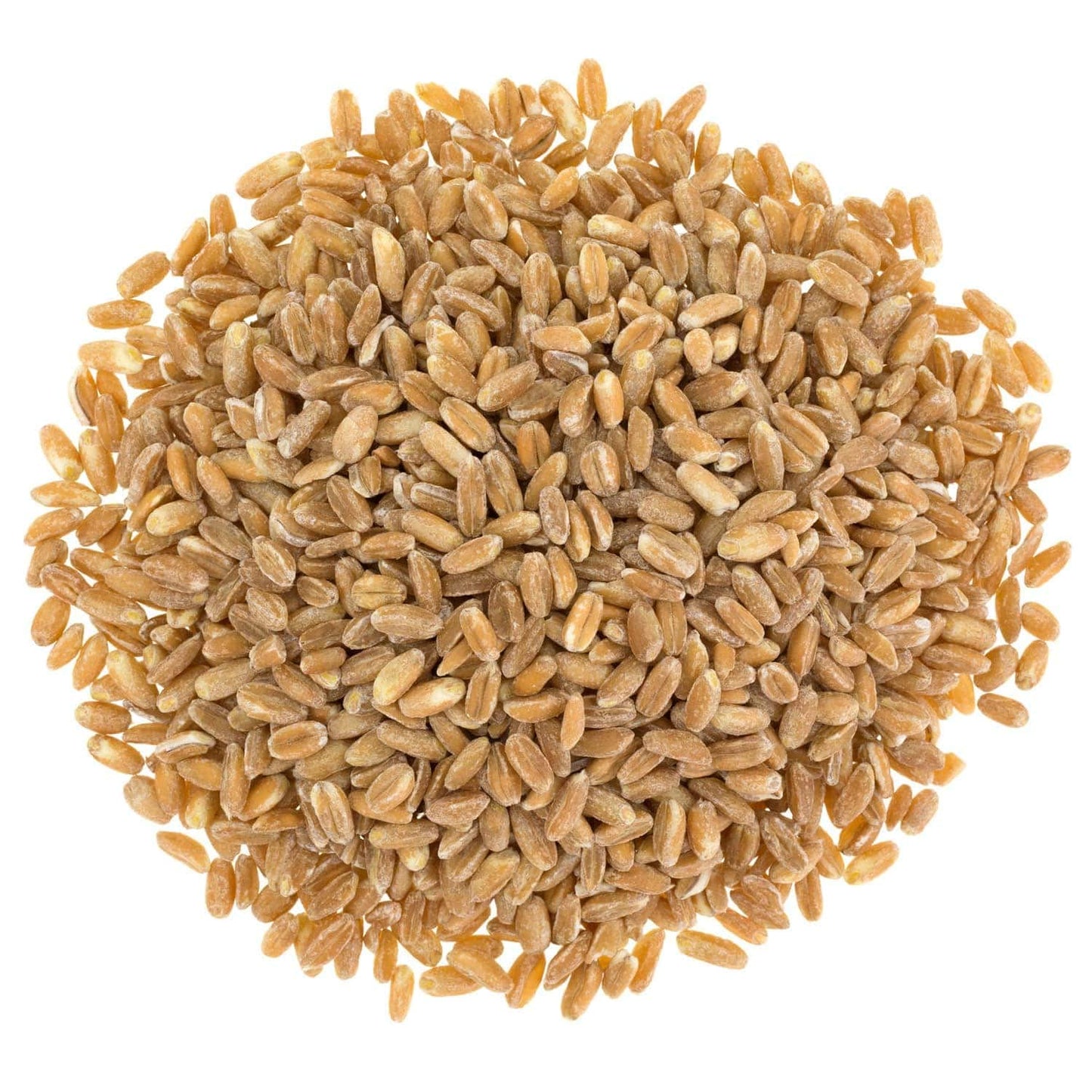 Food To Live Organic Italian Pearled Farro, 8 Pounds - Non-Gmo, Kosher, Vegan, Whole Farro Grain In Bulk. Good Source Of Fiber A