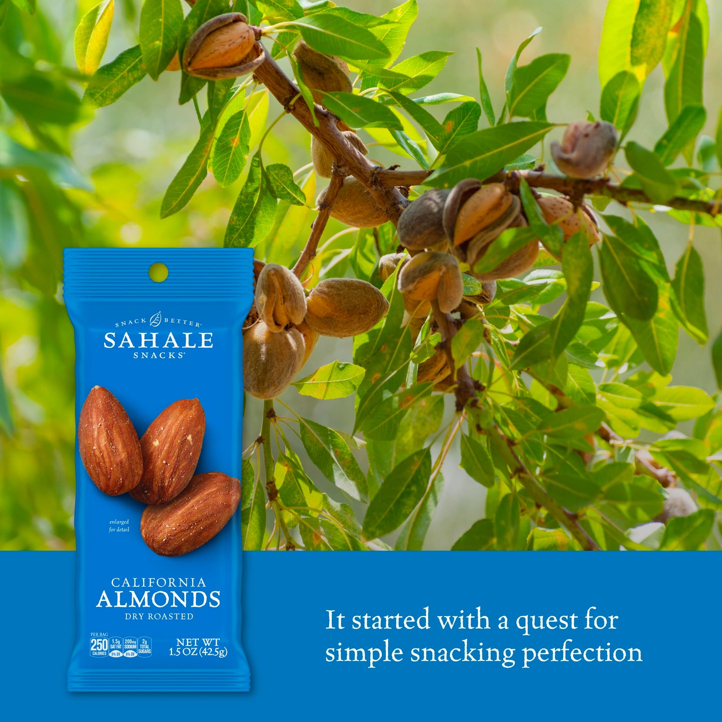 Sahale Snacks California Dry Roasted Almonds, 1.5 oz Grab & Go Bags (18 Packs) - Dry-Roasted Almonds with a Touch of Sea Salt -