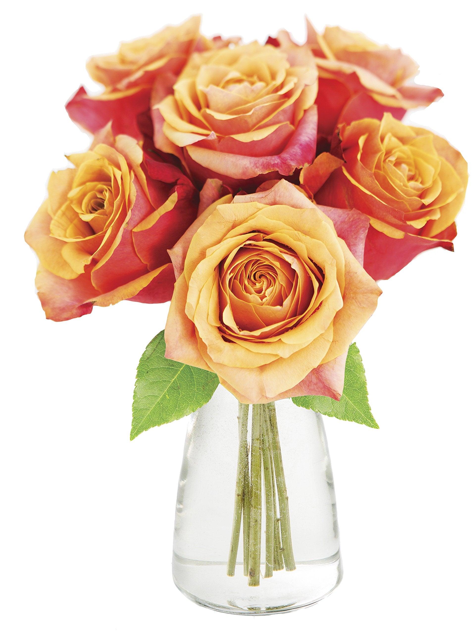 KaBloom Flowers - Valentine Collection - Bouquet of 6 Fresh Cut Orange Roses (Farm-Fresh  Long-Stem) with Vase. Gift for Birthday  Anniversary  Valentine  Mothers Day Fresh Flowers