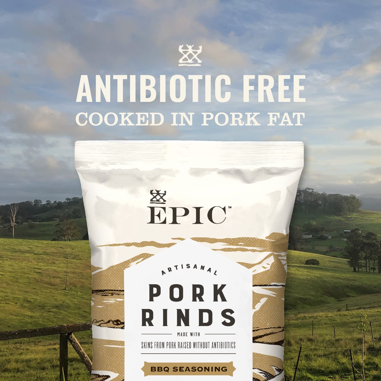 Epic BBQ Pork Rinds Gluten Free, 2.5oz - 10732153024929, 2.5 Ounce (Pack of 1)