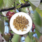 Spicy Yum! African Calabash Nutmeg (Ehuru, Efuru, Awiro) (Whole (Dehulled) - 2 Oz.)