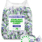 Sugar Free Starlight Spearmint Hard Candy 1 Pound - Individually Wrapped Starlight Mint Discs Hard Candy For Snacks & Treats - A