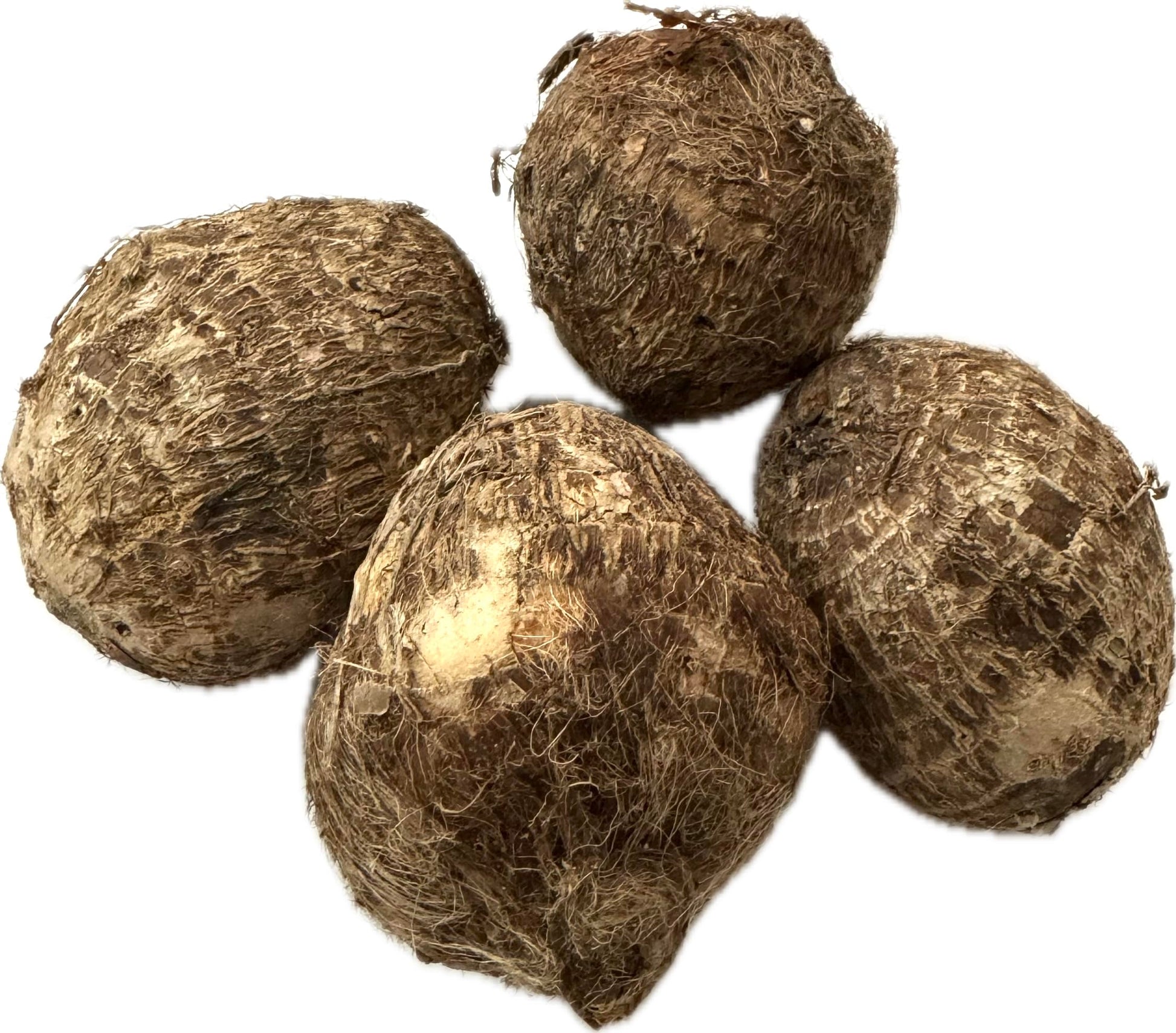 Fresh Taro Roots, Small, 1 Pound