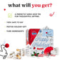 Davids Cookies Winter Wonderland Butter Pecan Meltaway Cookies Tin - Delicious Butter Cookies with Crunchy Pecans - Soft & Melt