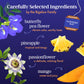 Bigelow Tea Sapphire Bay Butterfly Pea Flower  Blue Tea  Caffeine Free (Pack of 6)  108 Total Tea Bags