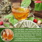 Lavendium Raspberry Leaf Tea Bags, 100% Natural, Caffeine-Free, Vegan, 60 Count