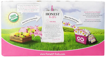 Honest Kids, Berry Berry Good Lemonade (8-Count), 54 Ounce