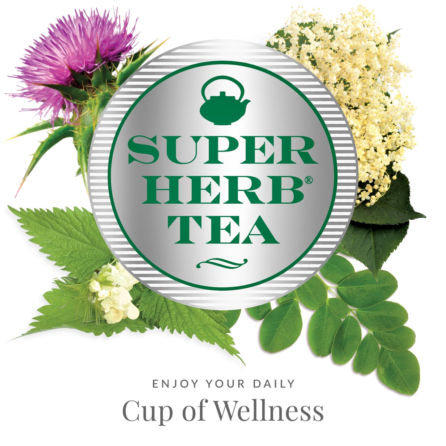 The Republic of Tea Organic Elderflower Herbal Tea, 36 Caffeine-Free Bags