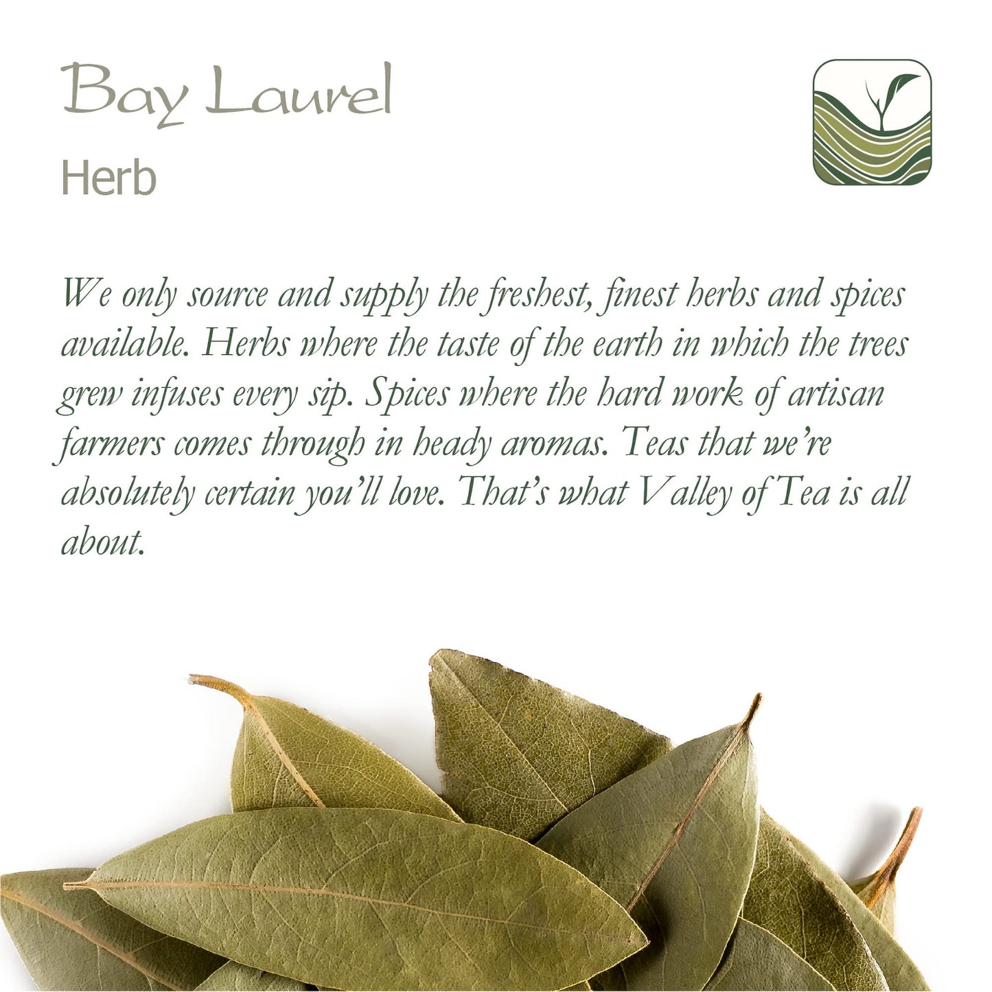 Bay Leaf Organic Herb Laurel - Whole Culinary Quality Leaf - Bay Leaves Organic Bay Leaves Whole Bay Laurel Leaves Bay Leaves Dr