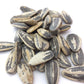 Bricktown Goods Salt And Balsamic Vinegar Flavored Sunflower Seeds - 3 Pack - Boldly Seasoned And Roasted In-Shell Sunflower See