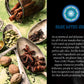 Blue Lotus Chai - Masala Chai Collection - Six Varieties - 0.5 Oz Each (14.17G)