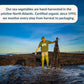 Maine Coast Sea Vegetables Kelp Granules Blend | Organic Seaweed Snacks | Sustainably Harvested | Low Sodium Salt Alternative |