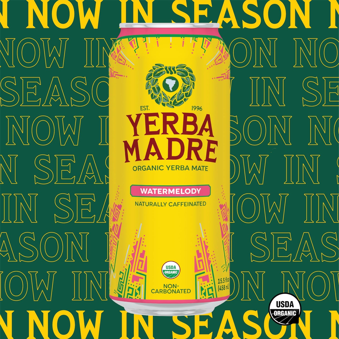 Yerba Madre Organic Yerba Mate, Energy Drink Alternative, Watermelody, 150Mg Plant Based Caffeine, Smooth Energy & Focus, No Jitters Or Crash, 15.5 Oz Cans (Pack Of 12)