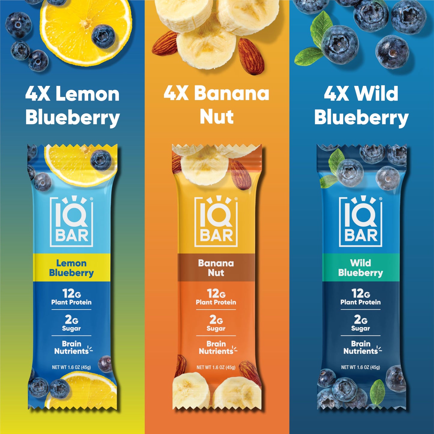 IQBAR Brain and Body Plant Protein Bars - Fruit Lovers Variety - 12 Count, Low Carb, High Fiber, Gluten Free, Vegan Snacks - Low