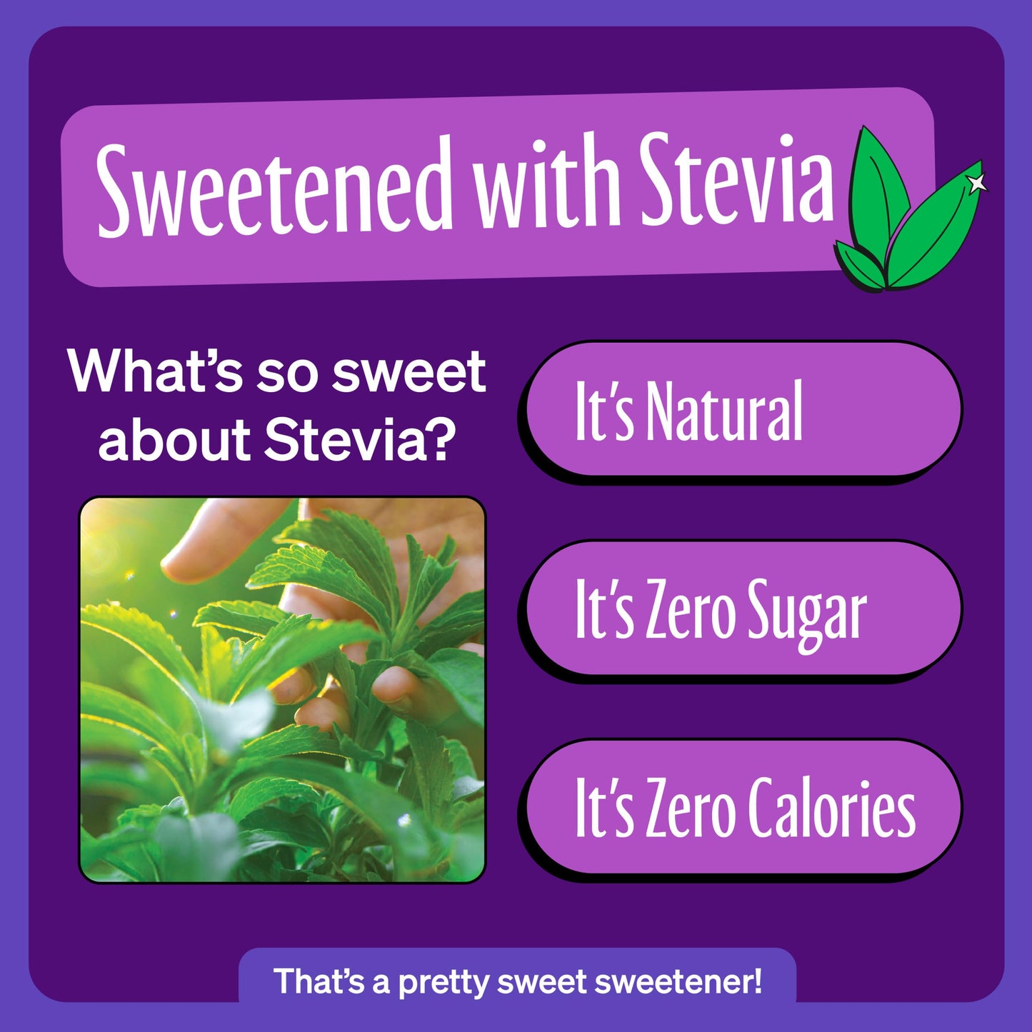 Zevia Zero Sugar Soda, Grape, 12 oz Cans (24-Pack) - Naturally Sweetened, Zero Calorie Sugar Free Soda - Non-GMO Project Verifie