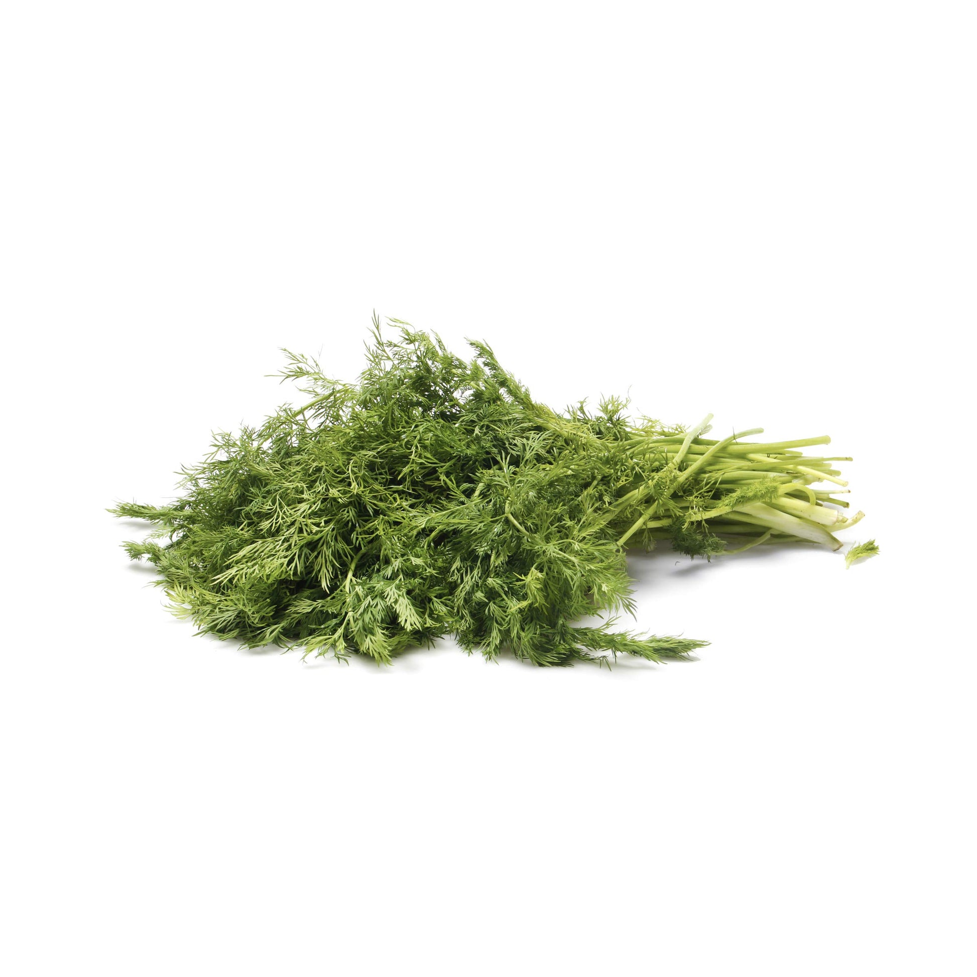 Organic Dill, .75 oz