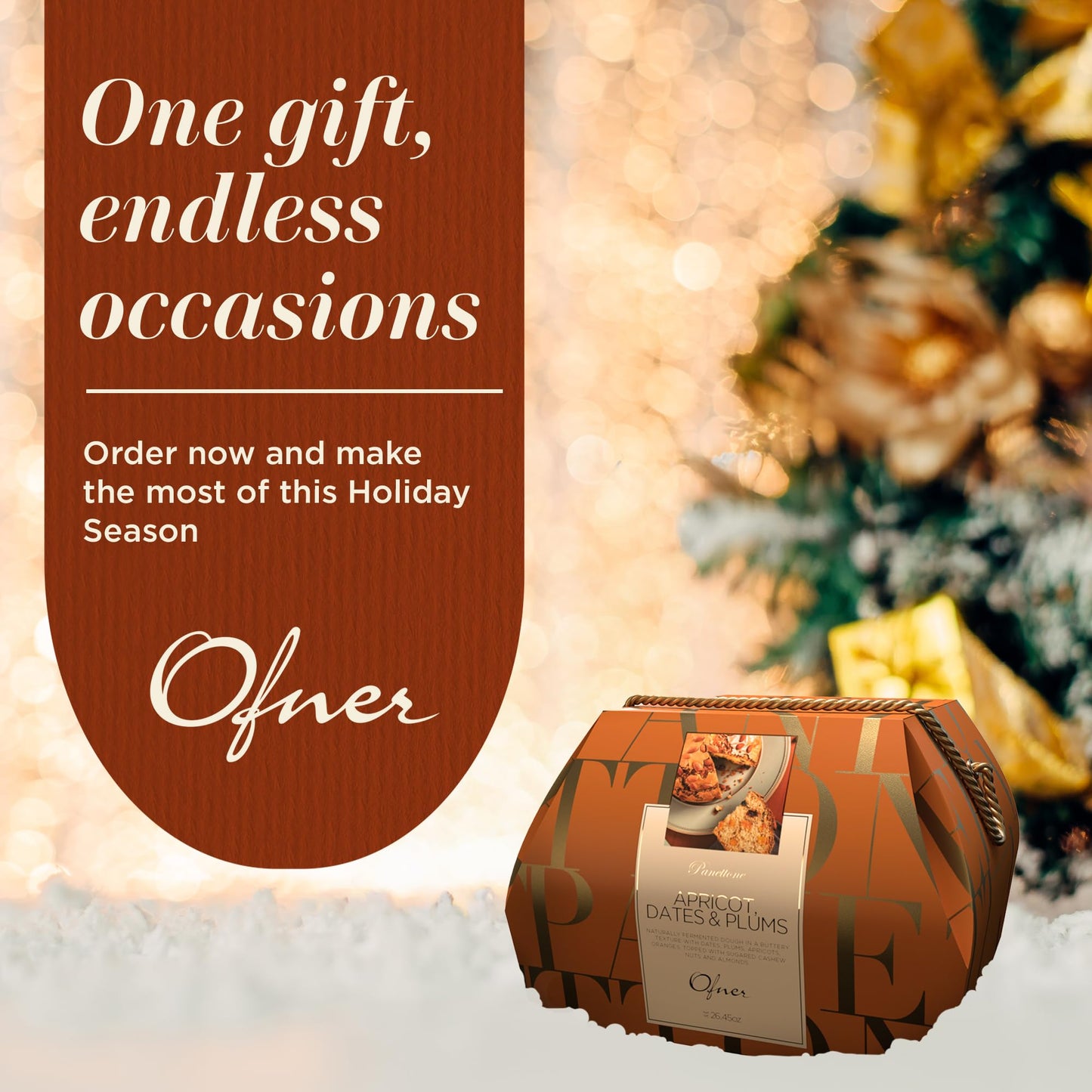 Genovese Panettone with Apricot  Dates & Plums 26.4 oz - Naturally Fermented Buttery Dough with Candied Fruits - Traditional Holiday Cake - Ofner