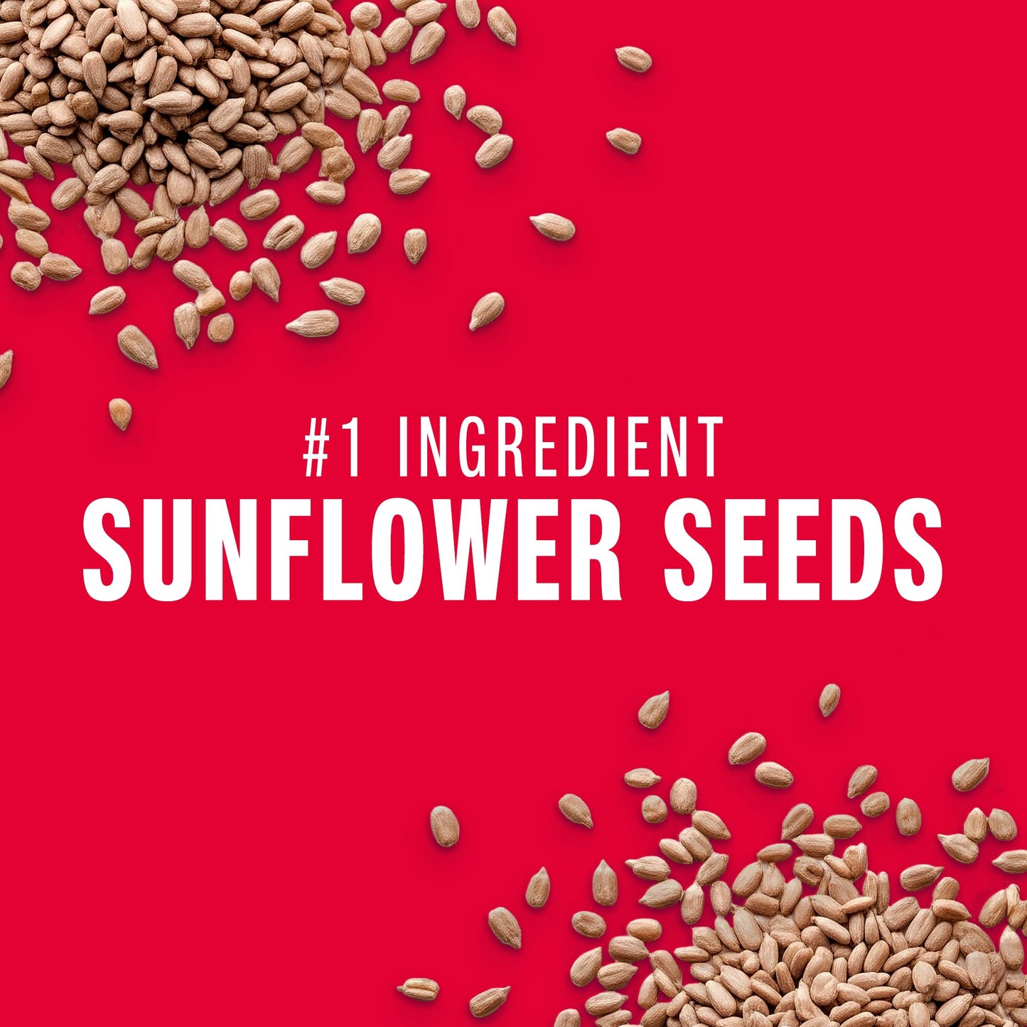 KIND Seeds Fruit & Nuts Snack Bar  Strawberry Sunflower Seed | 5g Protein  High Fiber  Gluten Free Bars  1.4 OZ  36 Count