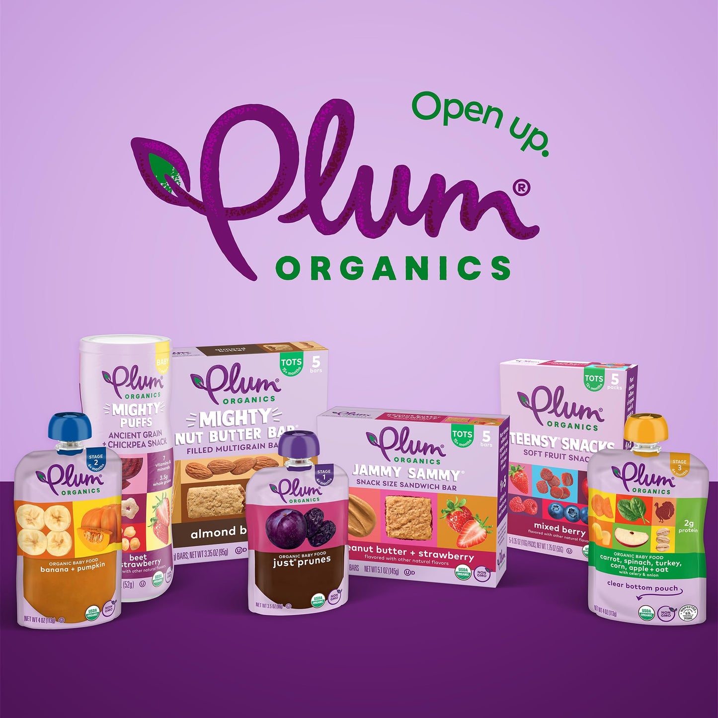 Plum Organics Teensy Snacks Soft Fruit Snacks - Berry With Puffed Quinoa - 0.35 Oz Bags (Pack Of 40) - Organic Toddler Food Frui