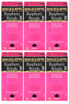 Bigelow Raspberry Royale Tea Bags 28-Count Boxes (Pack Of 6) Black Tea Bags All Natural Gluten Free Rich In Antioxidants