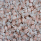 Gourmet Soft And Chewy Salt Water Taffy Candies - Individually Wrapped - Bulk Bags (Coffee Mocha, 5 Pound (Pack Of 1))