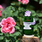 Kalawalk Funny Crochet Pickles 1 Pcs With Affirmations Cards For Inspirational Novelty Good Luck Gifts And Party Decorations(Kk-Ckd04-Ppfw)