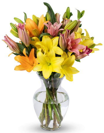 Benchmark Bouquets, 12 Stem Asiatic Lilies, Glass Vase Included, Gift Fresh Flowers For Birthday, Anniversary, Get Well, Sympath