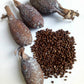 Ghana Alligator Pepper Mbongo Spice Hepper Pepper (10)