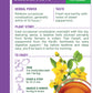 Traditional Medicinals Tea, Organic Smooth Move Peppermint, Relieves Occasional Constipation, Senna, 16 Tea Bags