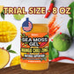 Biolore Sea Moss Gel Mango Chili Zing 8oz, Made in USA, Raw Wildcrafted Irish Seamoss Vegan Superfood, Jam, Jelly & Sweet Spread