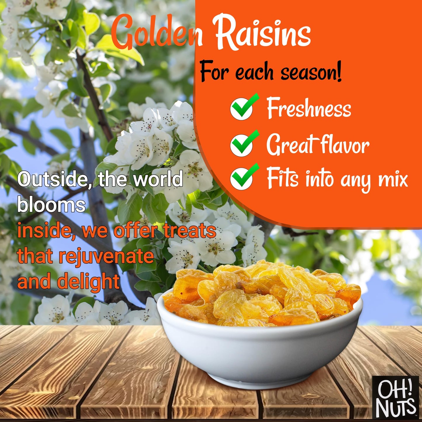 Golden Raisins | 2 Lb - Sun Dried Fruit | No Sugar Added | Dehydrated Fruit Bites | Packed In New York Zip-Seal Bag For Exceptional Freshness By Oh Nuts