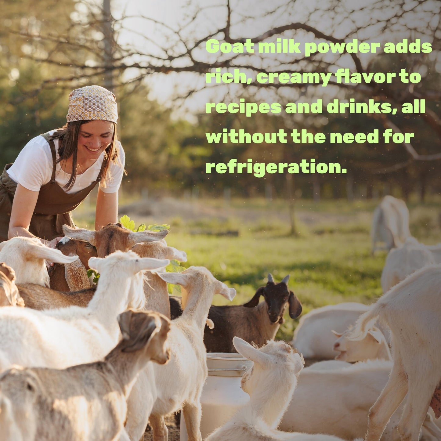 Goat Milk Powder  1lb - Natural Grass Fed Source from Australia - Farm Direct - Easy to Digest - Powdered Goat Milk Formula for Drinks  Baking & Cooking - Non-GMO  Filler Free  Pet Friendly