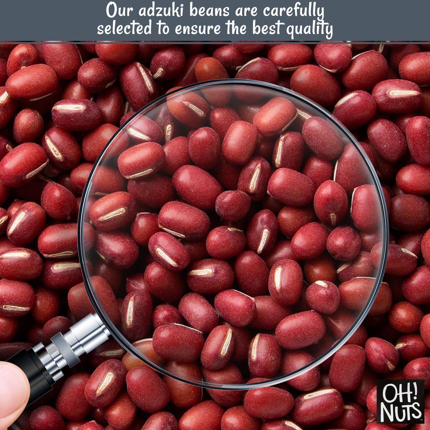 Adzuki Beans | Raw - 100% Natural | 2 Lb | Dried Red Mung Beans From Thailand | Packed In New York Zip-Seal Bag For Exceptional Freshness By Oh Nuts