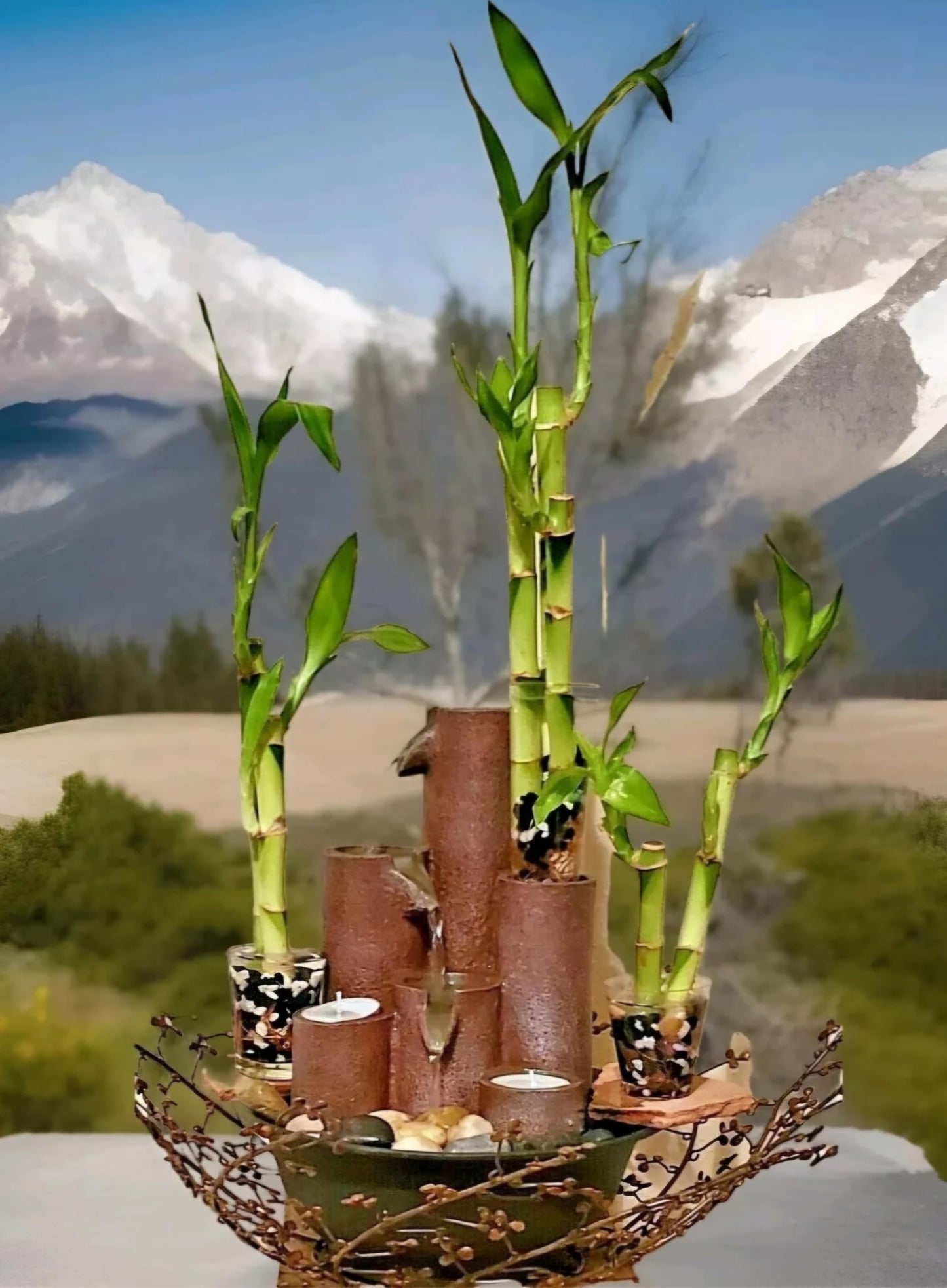 Lucky Bamboo 20 Stalks Of Pure Luck, Free Butterfly Stake, No Green Thumb Required! Just Add Water, Indoor Perennial Plants, Ide