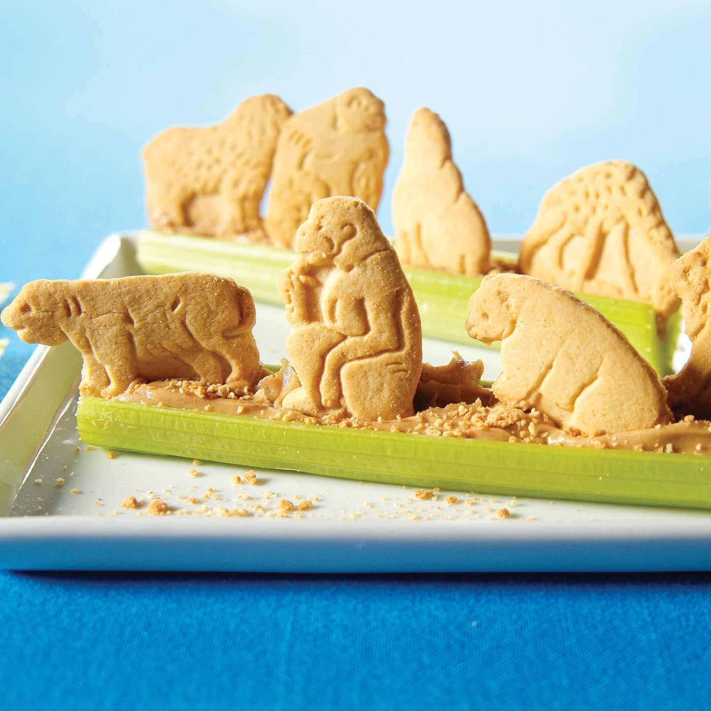 Barnums Animal Crackers, Snak-Saks, 8 oz