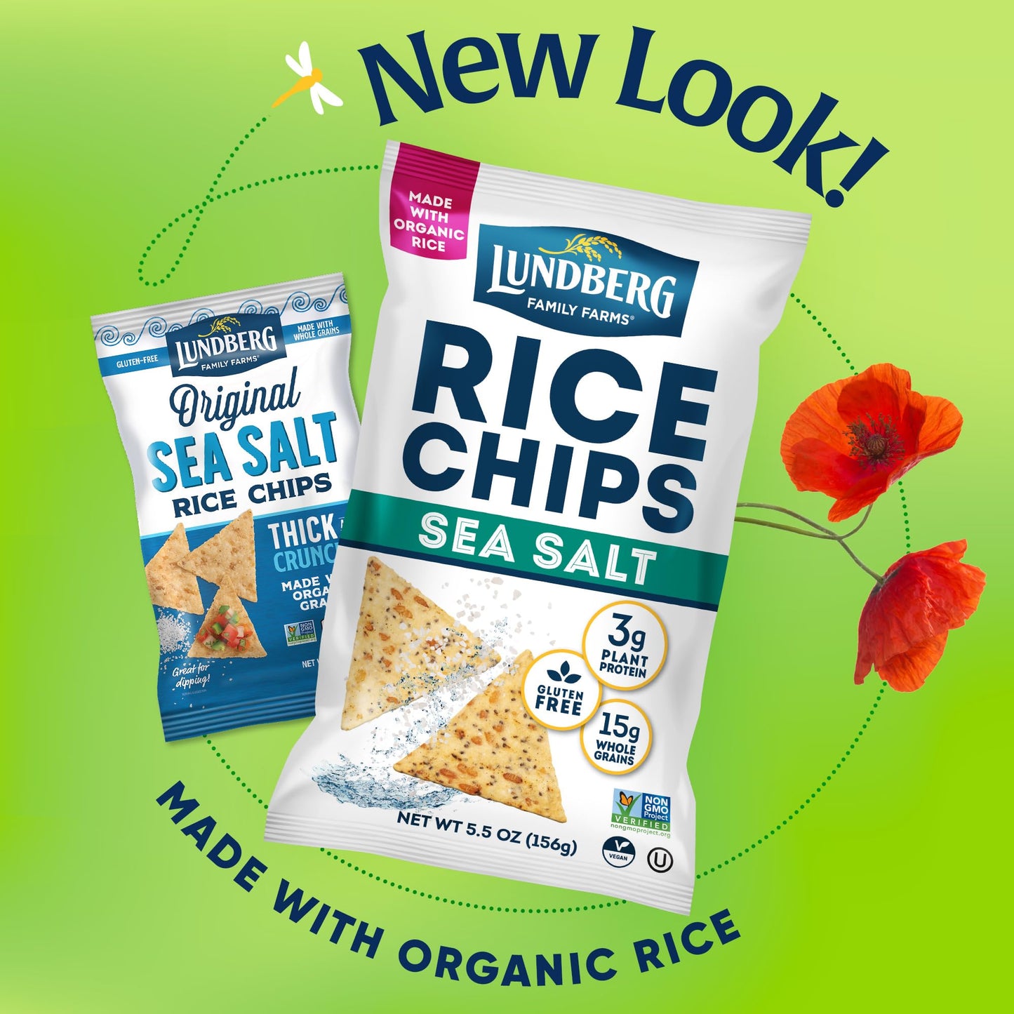 Lundberg Chip Rice Sea Salt Mwo 5.5 OZ