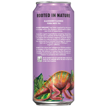 Yachak Yerba Mate Drink, Blackberry Flavor, 16 Fl Oz Cans, Pack of 12