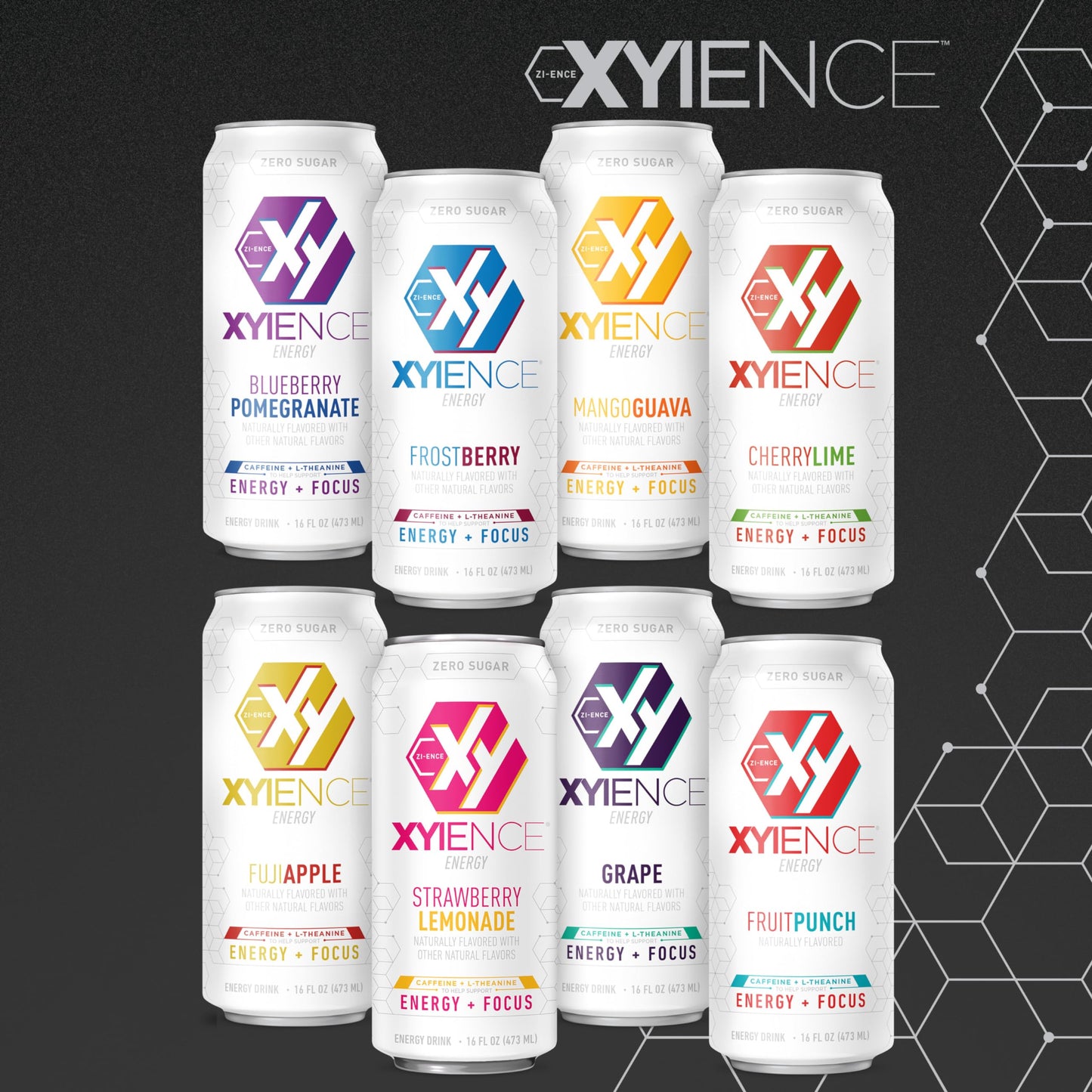 XYIENCE Energy Drink Blueberry Pomegranate Sugar Free 16 Fl Oz Pack of 12