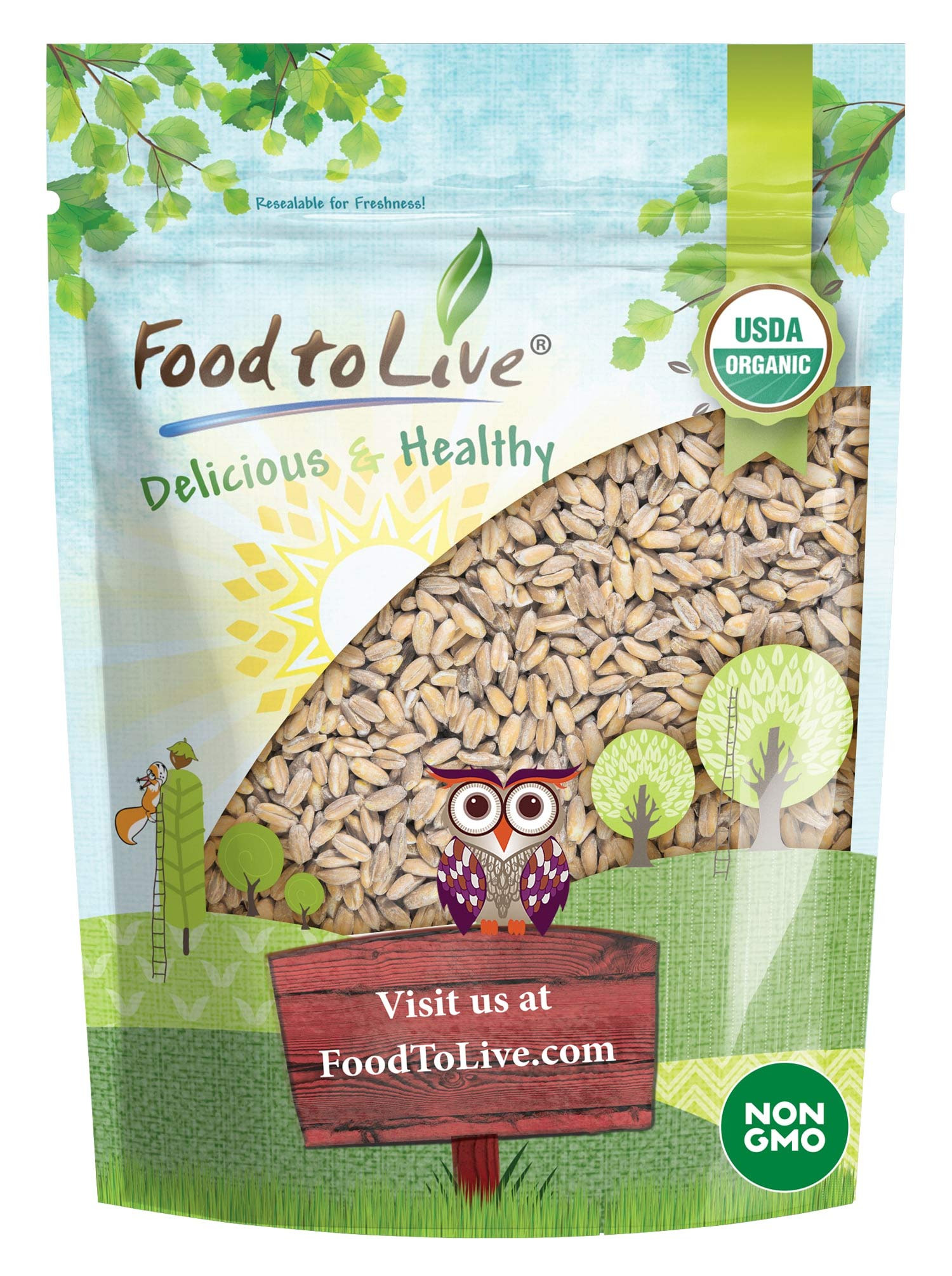 Food to Live Organic Spelt Berries, 1 Pound - Non-GMO, Kosher, Whole Grain, Non-Irradiated, Vegan Superfood, Bulk, Product of th