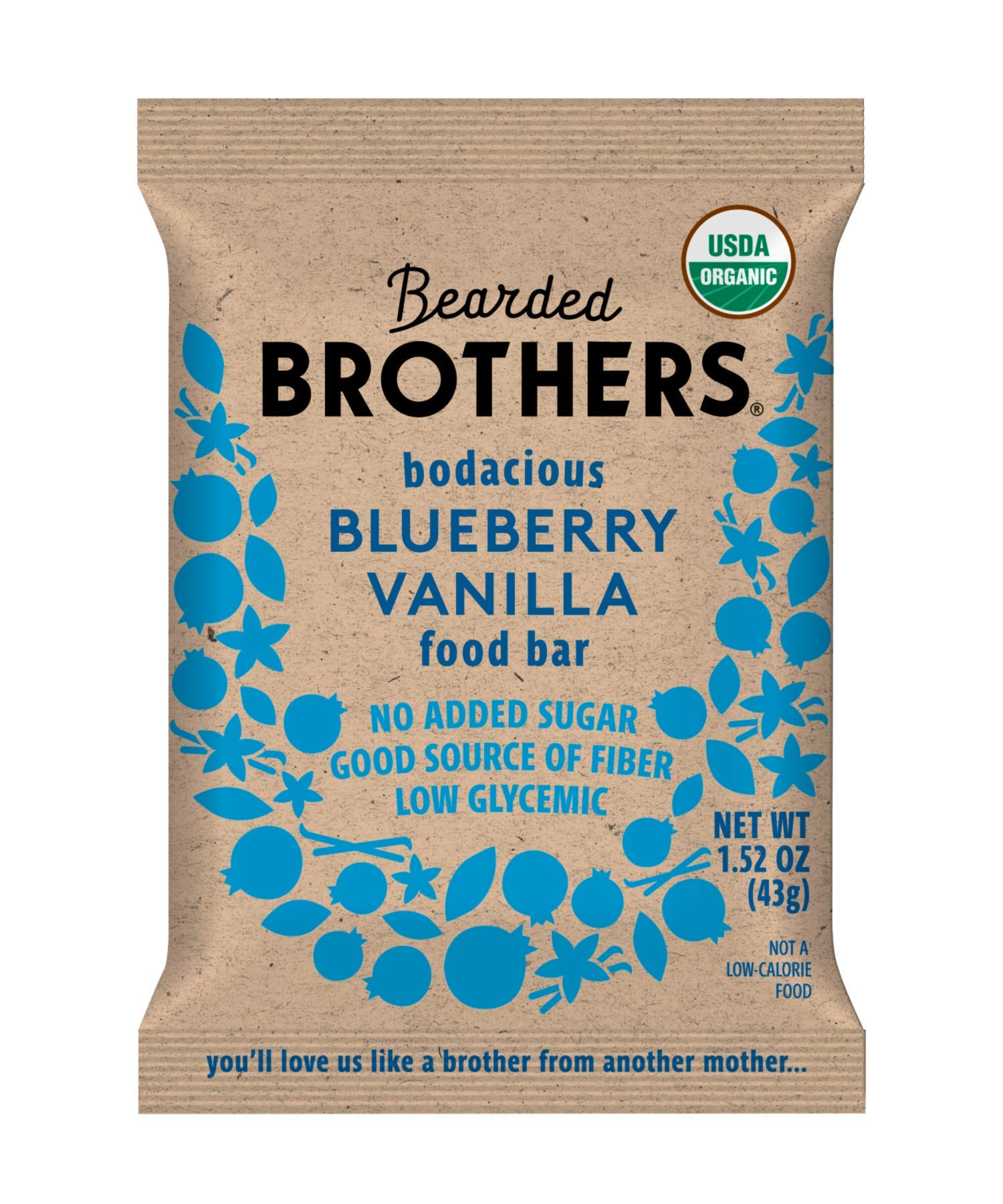 Bearded Brothers Organic Vegan Protein Energy Bars, Blueberry Vanilla, Gluten Free, 12 Count