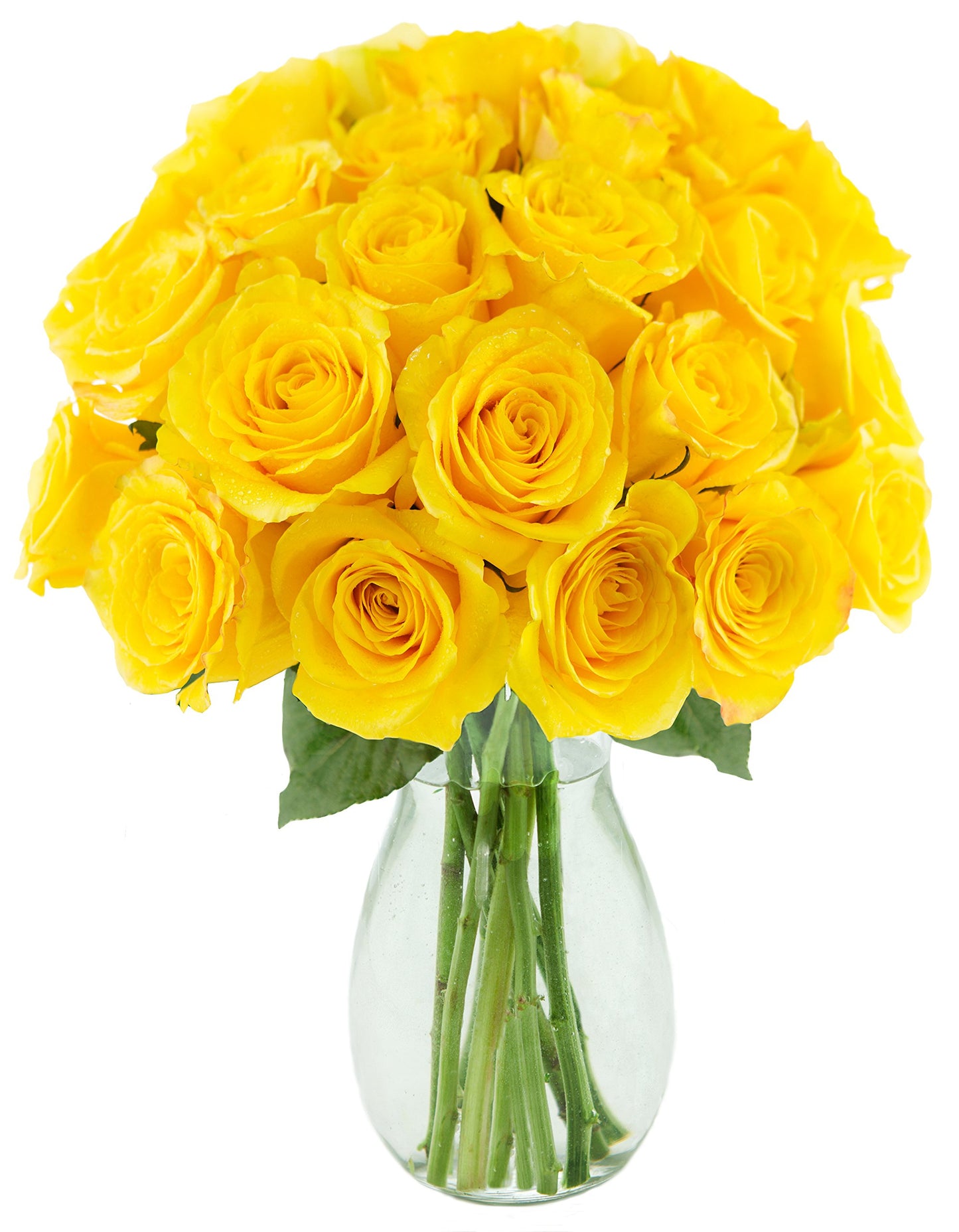 Kabloom Toast of the Town Yellow Roses (Two Dozen) -The KaBloom Collection Flowers With Vase