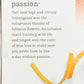 Tazo Tea Passion 20 Bags Net Wt. 1.8 Oz/52G