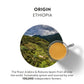 Nespresso Original Line Ethiopia Master Origin Mild Roast Coffee Pods, 50 Count