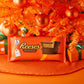 REESES Milk Chocolate Peanut Butter Cup Bar  16 oz.  1 lb