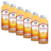 Gourmet Kitchn GT'S Organic & Unpasteurized Raw Kombucha Gingerade - Enzymes and Probiotics - The Perfect Palate Pleaser for New